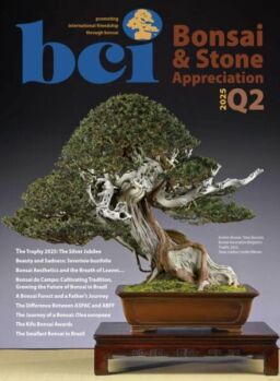 BCI Bonsai & Stone Appreciation Magazine – Q2 2025