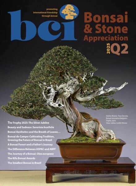 BCI Bonsai & Stone Appreciation Magazine – Q2 2025 Cover