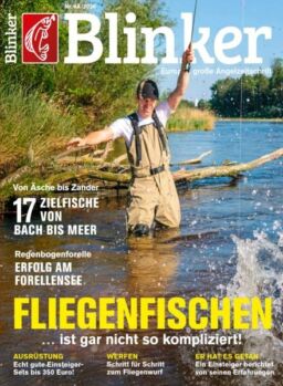 Blinker – N 6 2025