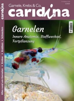 Caridina – Mai 2025