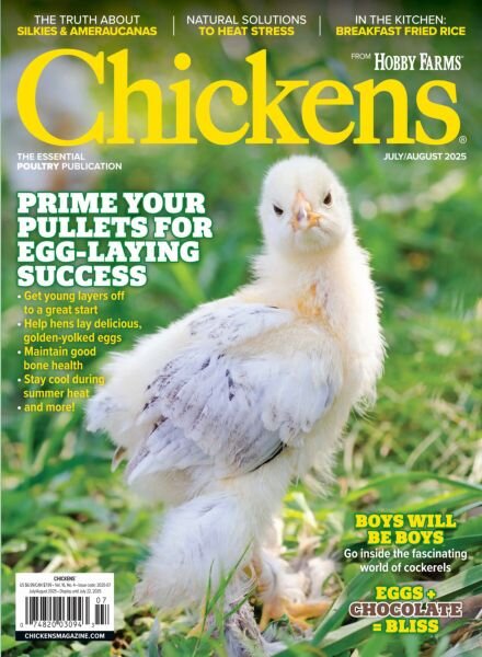 Chickens – July-August 2025 Cover