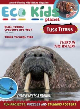 Eco Kids Planet Magazine – May 2025