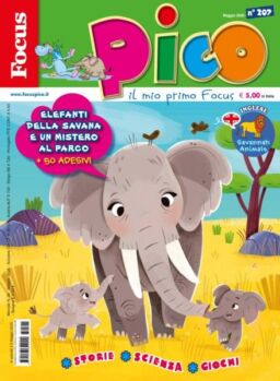 Focus Pico – Maggio 2025