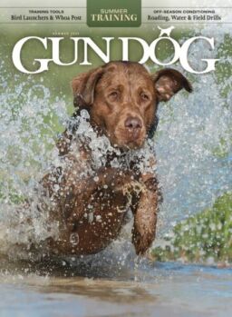 Gun Dog – June-July-August 2025