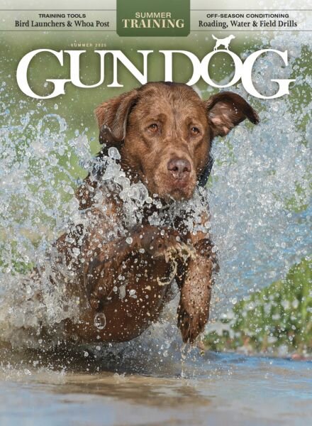 Gun Dog – June-July-August 2025 Cover
