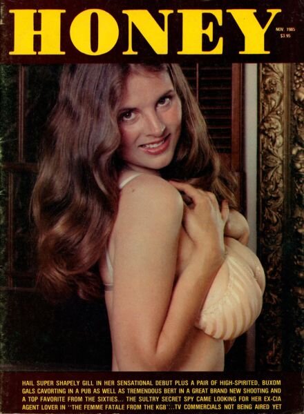 Honey – Vol 10 N 1 November 1985 Cover