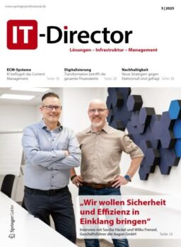 IT-Director – Mai 2025