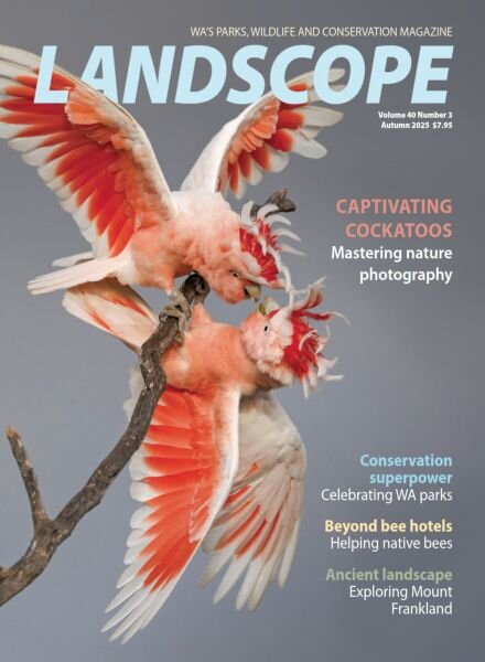 Landscope Magazine – Volume 40 Number 3 2025 Cover