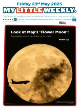 My Little Weekly – 23 Mai 2025