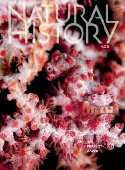 Natural History – April 2025