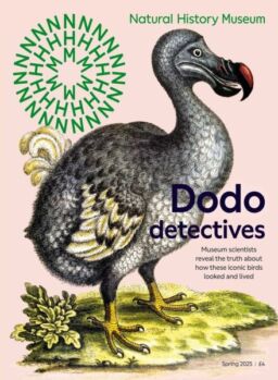 Natural History Museum – Spring 2025