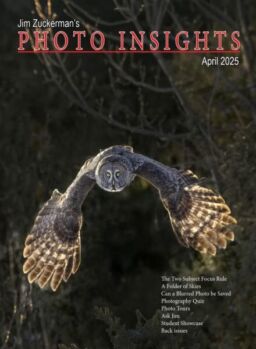 Photo Insights – April 2025
