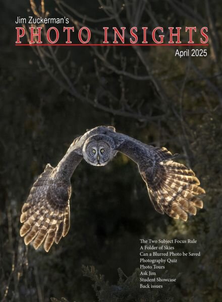 Photo Insights – April 2025 Cover
