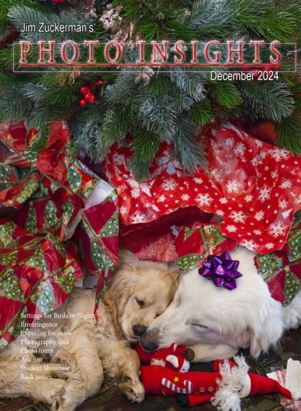 Photo Insights – December 2024 Cover
