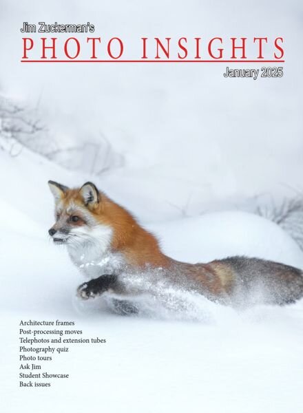 Photo Insights – January 2025 Cover
