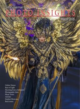 Photo Insights – March 2025