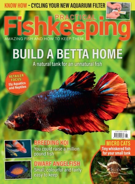 Practical Fishkeeping – June 2025 Cover