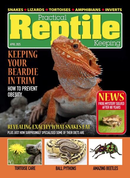 Practical Reptile Keeping – April 2025 Cover
