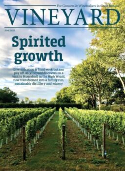 Vineyard – June 2025