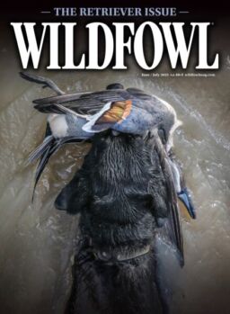 Wildfowl – June-July 2025