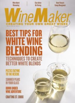 WineMaker – June-July 2025