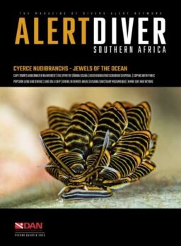 Alert Diver – Second Quarter 2025