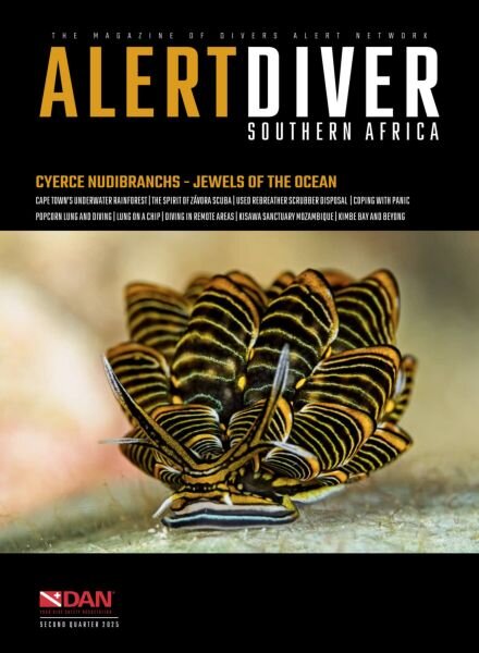 Alert Diver – Second Quarter 2025 Cover