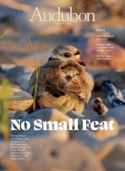 Audubon Magazine – Summer 2025