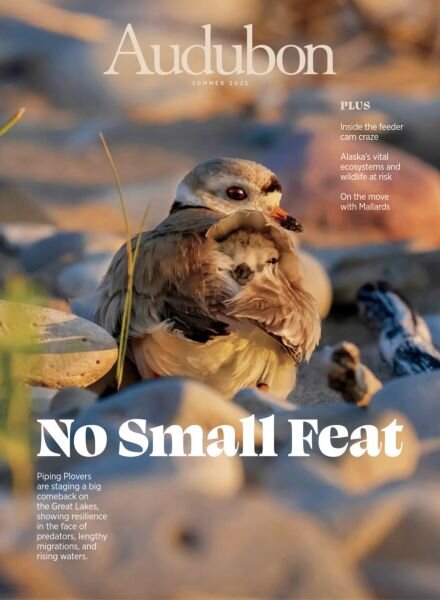 Audubon Magazine – Summer 2025 Cover