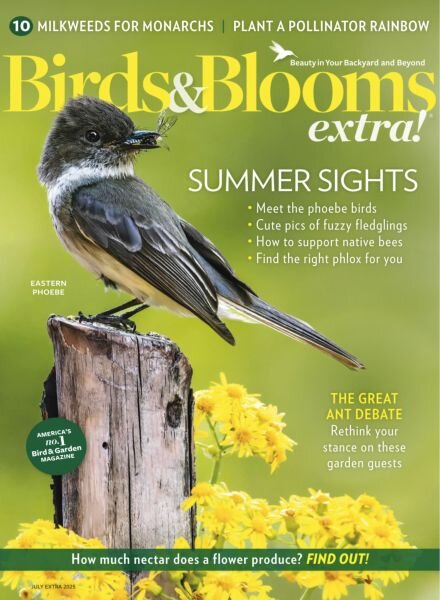 Birds and Blooms Extra – July 2025 Cover