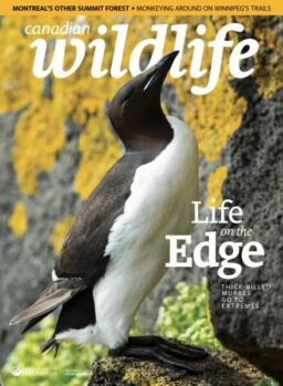 Canadian Wildlife – July-August 2025