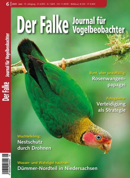 Der Falke Journal fur Vogelbeobachter – Juni 2025 Cover