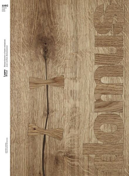 Domus Italia – Giugno 2025 Cover