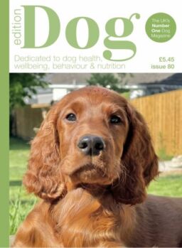 Edition Dog – Issue 80 2025
