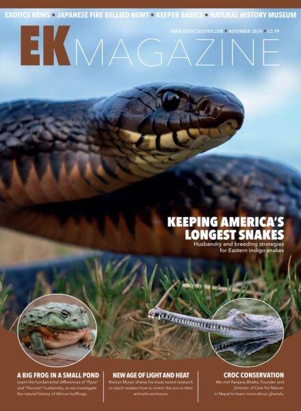 Exotics Keeper Magazine – November 2024 Cover