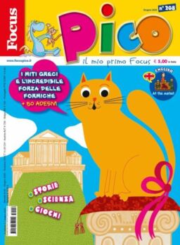Focus Pico – Giugno 2025