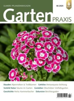 Gartenpraxis – N 6 2025