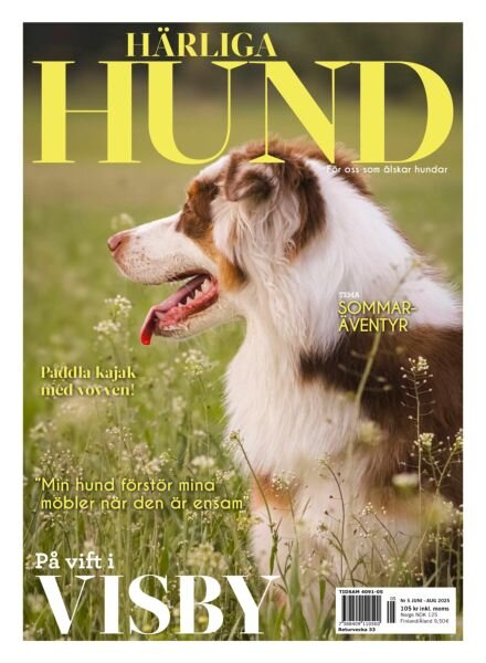 Harliga Hund – Juni 2025 Cover
