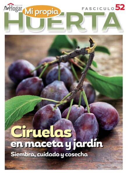 La Huerta en Casa – Junio 2025 Cover