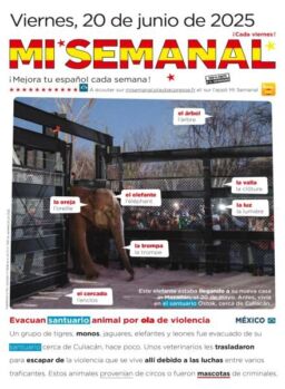 Mi Semanal – 20 Junio 2025