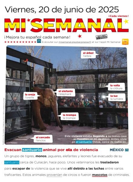 Mi Semanal – 20 Junio 2025 Cover