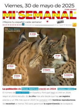 Mi Semanal – 30 Mayo 2025