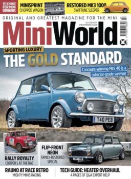 MiniWorld – July 2025