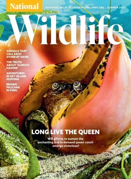 National Wildlife – Summer 2025 Cover