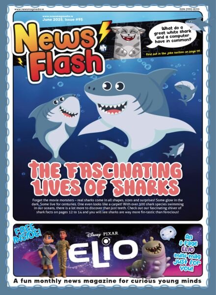 News Flash – June 2025 Cover