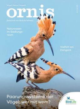 Ornis – Juni 2025