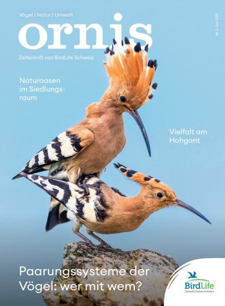 Ornis – Juni 2025 Cover