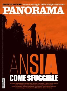 Panorama Italia – 11 Giugno 2025