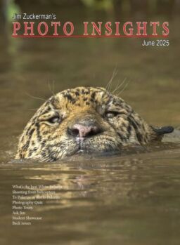 Photo Insights – June 2025