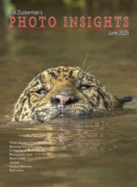 Photo Insights – June 2025 Cover